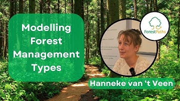 Modelling Forest Management Types: Interview with Hanneke van 