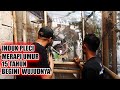 MBAH PLECI MERAPI - 24 TAHUN TERNAK PLECI ASLI GUNUNG MERAPI, INDUKNYA 15 TAHUN MASIH PRODUKSI TERUS