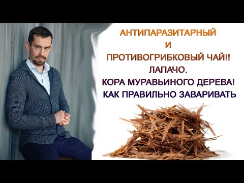 YouTube видео