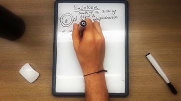 Endotoxin | Easiest and Fastest Way to Memorize for USMLE Step 1