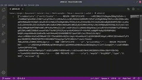 Sergio Fausto Marino - Tutorial Hyperledger Fabric...