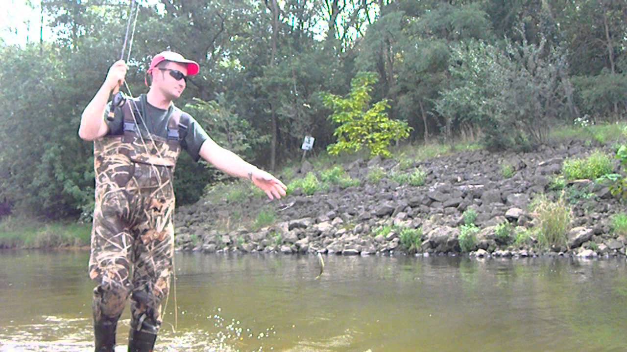 Fly Fishing For Big Creek Bluegills, Crappies & Bass (Half Hour Action