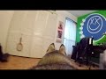 GoPro Camera on my Husky Left Home Alone!