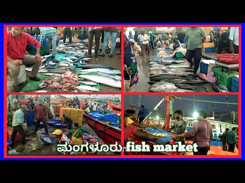 March 23, 2023 ಮಂಗಳೂರಿನಲ್ಲಿರುವ ಧಕ್ಕೆ ಮೀನು ಸಂತೆ || DHAKKE FISH MARKET IN MANGALORU🐠🐟🐋🐳🦈