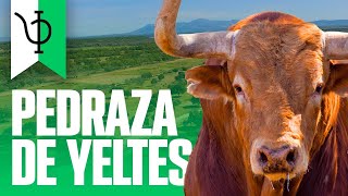 GANADERIA PEDRAZA DE YELTES | TOROS 2023