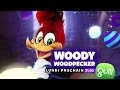 Ba gulli 2018  woody woodpecker