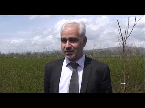 სოფლის მეურნეობის მინისტრმა ნიქოზში სასოფლო-სამეურნეო კოოპერატივს სტატუსი მიანიჭა