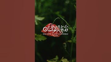 سورة الإخلاص 🌹 #اكسبلور #القرآن_الكريم #لايك #راحة_نفسية