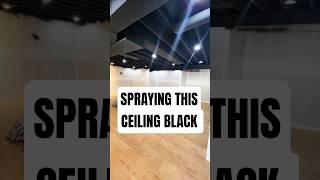 Black ceilings are the new thing! #alecpaints #diy