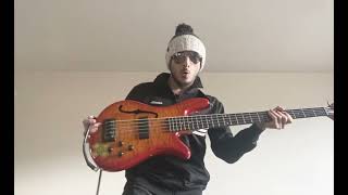 Praise You - FatBoy Slim - Bass Cover by Andres Johnstone