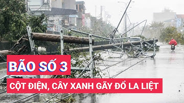 Bão số 3 đổ bộ Quảng Ninh gây cảnh tượng chưa từng thấy: Cột điện, cây xanh gãy đổ la liệt