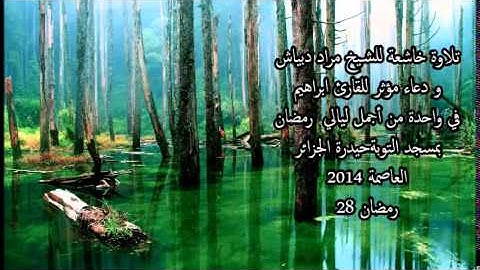 تلاوة خاشعة للشيخ مراد دبياش ودعاء مؤثر للقارئ ابراهيم في واحدة من أجمل ليالي رمضان بمسجد التوبة2014