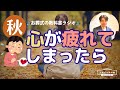 なぜ9月は感傷的になるのか?-大切な人とのお別れを思う季節【お葬式の教科書ラジオvol.32】