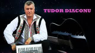 Tudor Diaconu  Paharute argintii