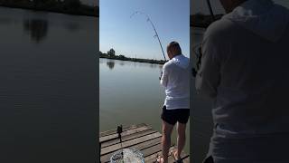 Толстолобик 🔥 рыбалка на Озерах Адыгеи