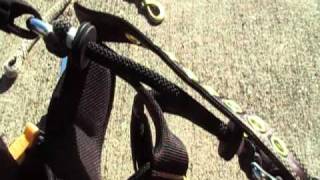 Tree Safety: Wide World of Trees Episode 4