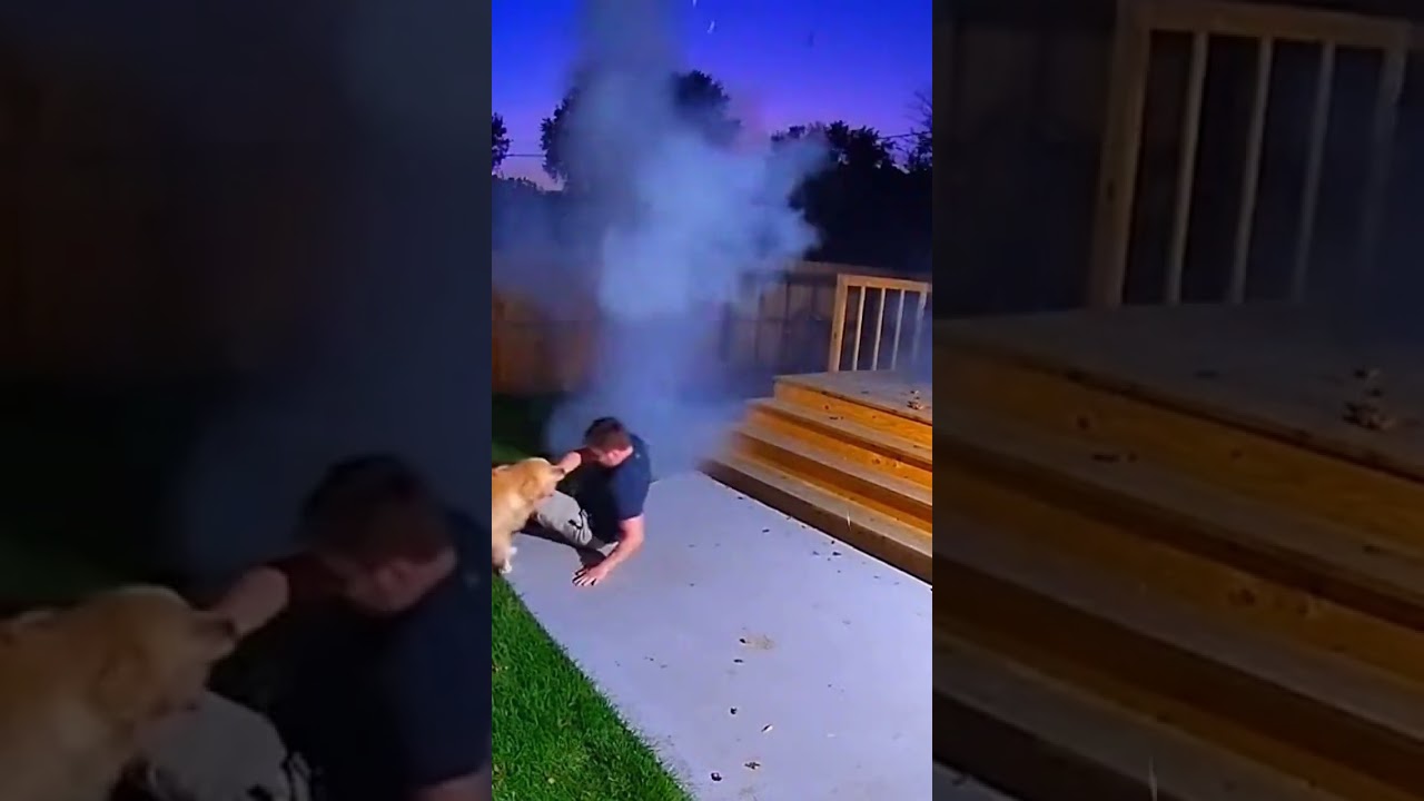 Golden Retriever Drags Owner to Safety Quick Rescue Saves the Day 