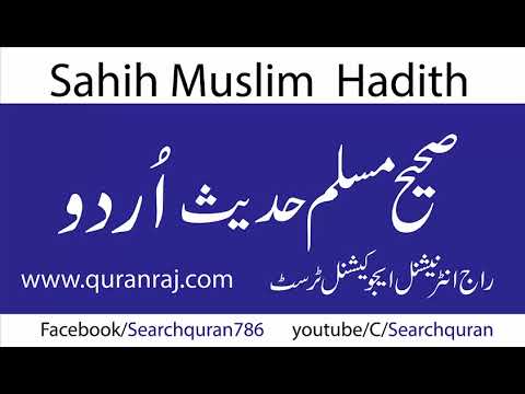 Sahih muslim hadith 382