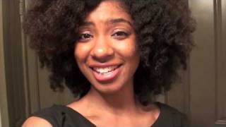 2011 World Natural Hair Show, Monroe Sisters Meetup & Curly Girls Rock RECAP