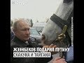 Жээнбеков подарил путину скакуна и 