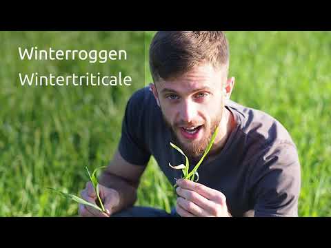 Video: Bodenverbesserer: Verwendung Eines Zusatzstoffes Zur Verbesserung Der Bodenfruchtbarkeit, Für Den ökologischen Landbau Und Zur Wiederherstellung Der Fruchtbarkeit