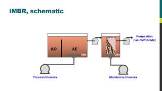 MBR Insights − Immersed membrane bioreactor process