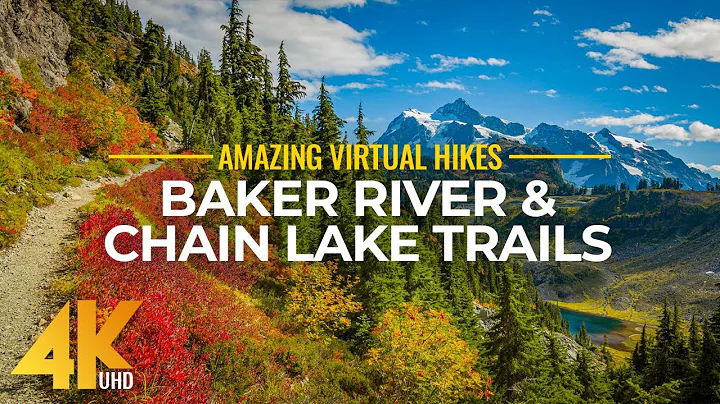 4K Virtual Hike Near River through the Forest - Baker River Trail & Chain Lake Trail - 天天要聞