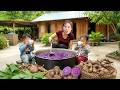 Harvesting giant taro and ginger to sell at the market, cooking fish for my daughter to eat