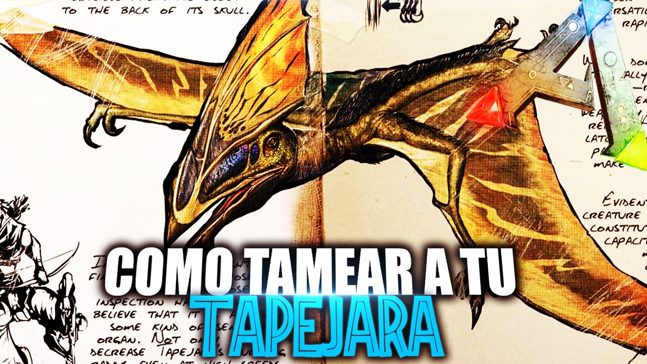 Тапежара арк карта