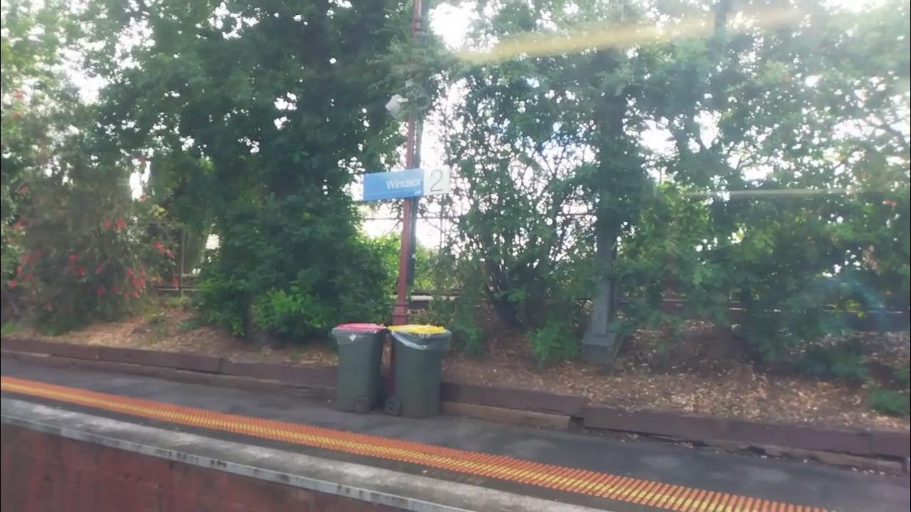 Metro Train from Sandringham to Flemington racecourse via Flinders Street part 2 YouTube