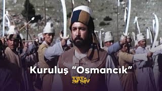 Kuruluş \