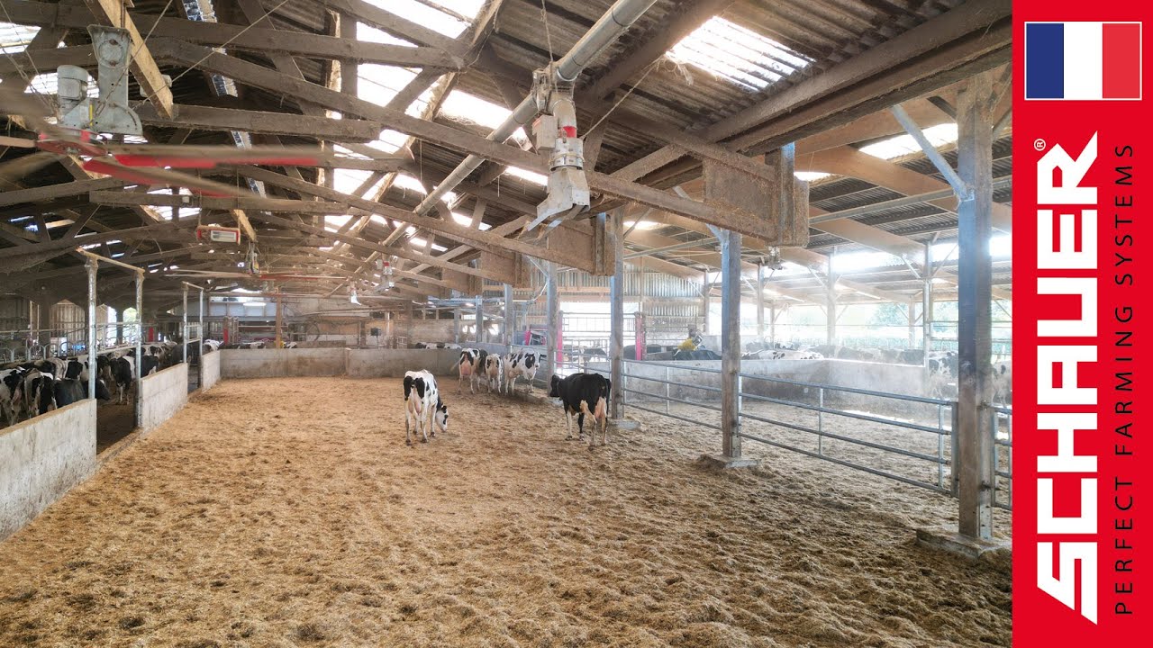 Elevage Tertre Goutte (Bretagne) – Paillage automatisé avec Strohmatic Air ASD 🐄✨