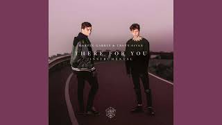 Martin Garrix, Troye Sivan - There For You (Instrumental Mix)