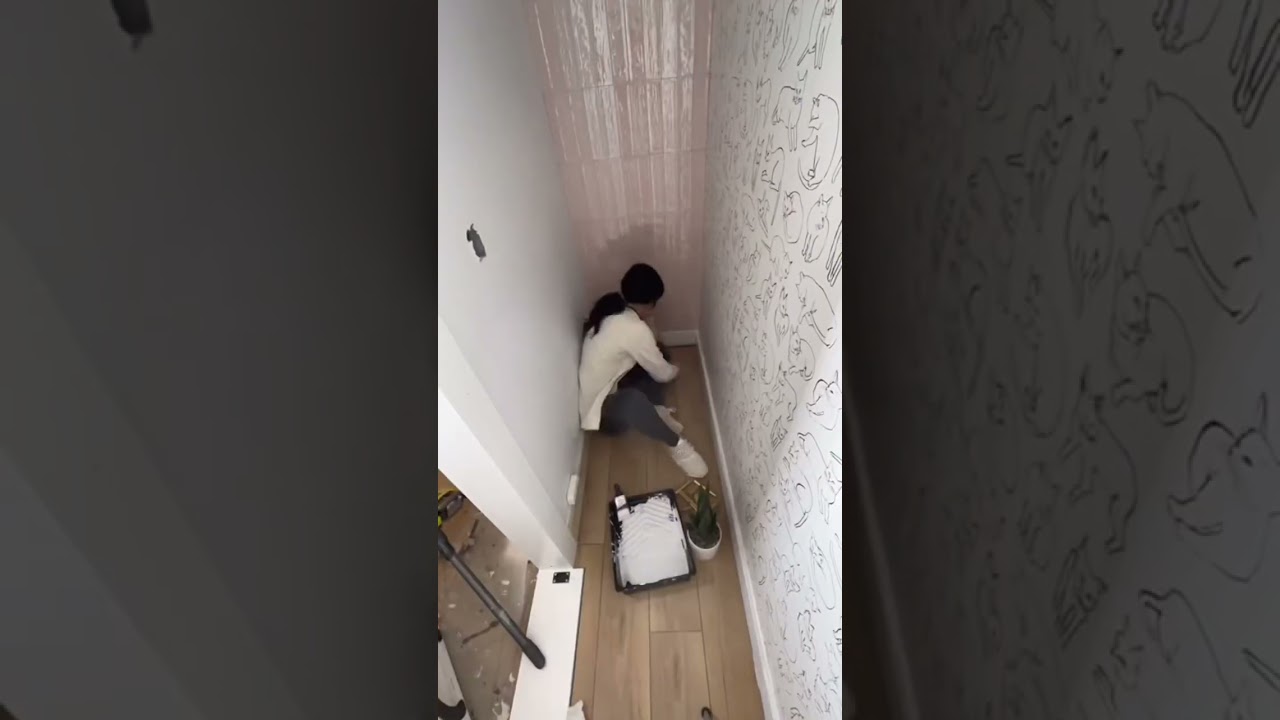 How We Turned A Closet Into a Bedroom For Our Cat 