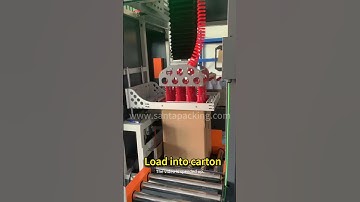 #shorts Automatic Case Packer,grip bottle and load into box-Santa Pack