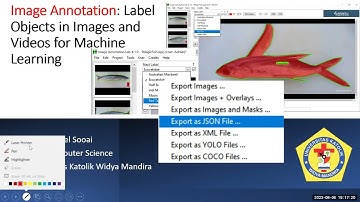 Image Annotation Label objects in images and videos for machine learning