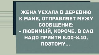 Жена уехала в деревню. Сборник Свежих Анекдотов! Юмор!