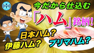 今だから仕込むべきハム銘柄！日本ハム、伊藤ハム、プリマハム…f局員の驚きの選択は？【中長期株談義】#10