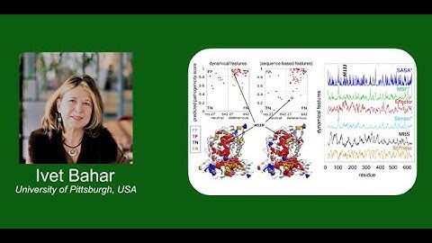Biyolojide Ağ Yapı Modelleri | Ivet Bahar