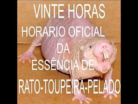 Vídeo: Assinaturas Transcriptomas Nuas De Ratos-toupeira De Maturação Sexual Socialmente Reprimida E Links De Reprodução Para O Envelhecimento