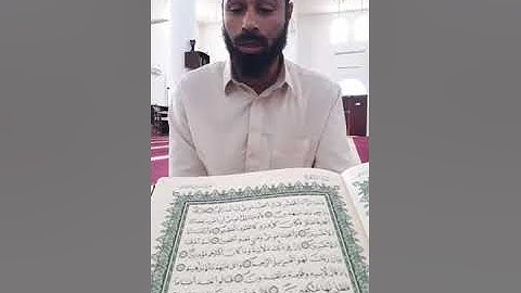 041 سورة الشعراء 2 من ختمة الشيخ مصطفى مطاوع برواية ورش عن نافع | فيديو