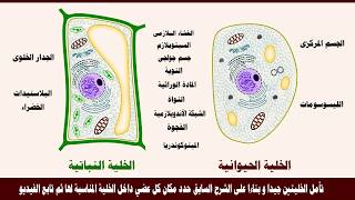 تركيب الخلية الحيوانية والنباتية - علوم - الاستاذ احمد مصطفى دعموم