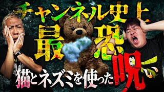 7月最後の水曜【生フシギ】でほんとうにあった怖い話…今夜は何連発⁉️【ナナフシギ】【怖い話】