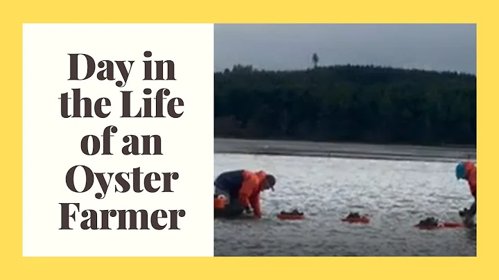 Day in the Life of an Oyster Farmer