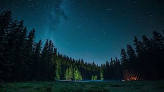 2 Hours Deep Sleep Music 🌲✨ | Starry Forest Ambience with Firelight &amp; Moonlit Trees