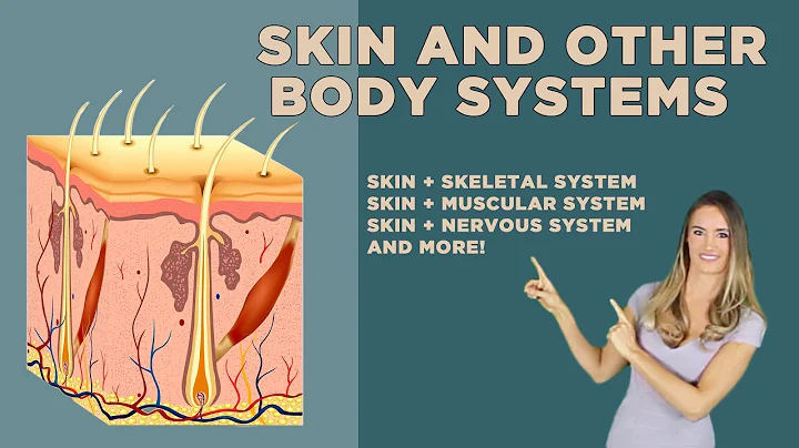 The Skin and Other Organ Systems: Skeletal, Nervou...