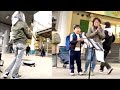 プロの路上ライブに飛んだ歓声にびっくりした。
