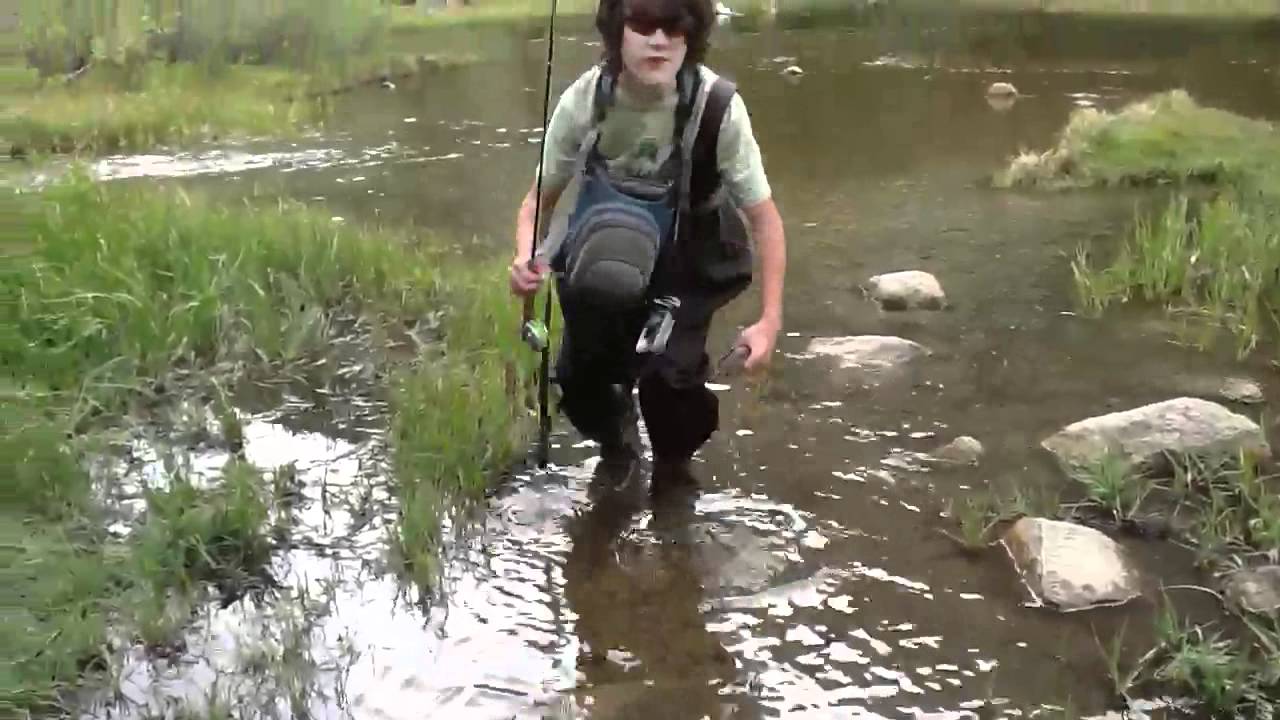 Its "brown trout time!" at bishop creek