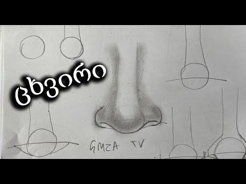 დავხატოთ ცხვირი მარტივად