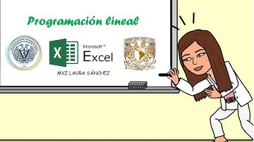 PROGRAMACIÓN LINEAL SOLVER